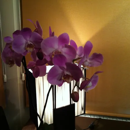 Casa Vallejo 2* Salamanca