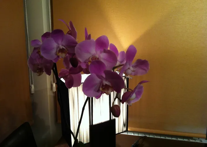 Casa Vallejo 2* 살라망카